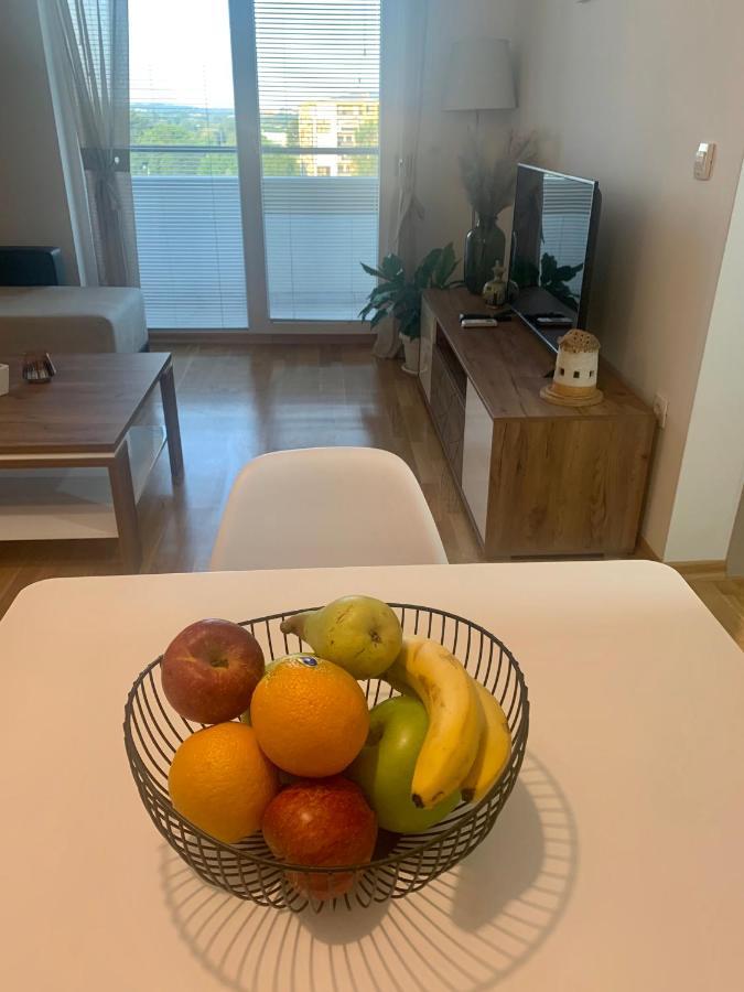 Artemis Business Apartment スコピエ エクステリア 写真